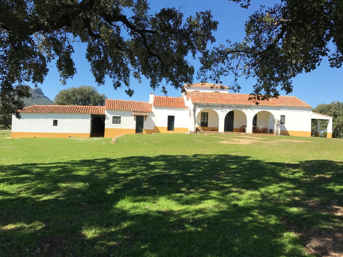 Casa Rural De La Finca Sierra Grande Hornachos Bagian luar foto