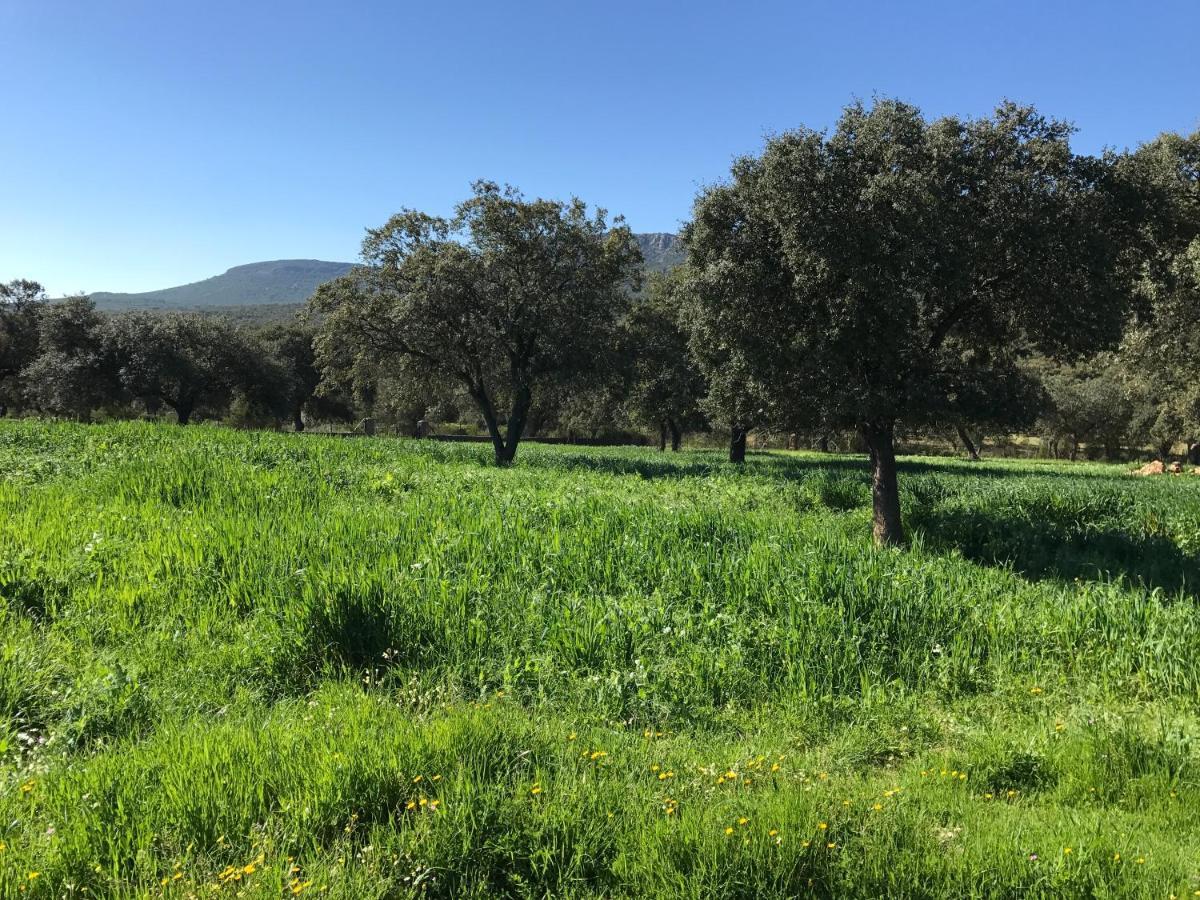 Casa Rural De La Finca Sierra Grande Hornachos Bagian luar foto